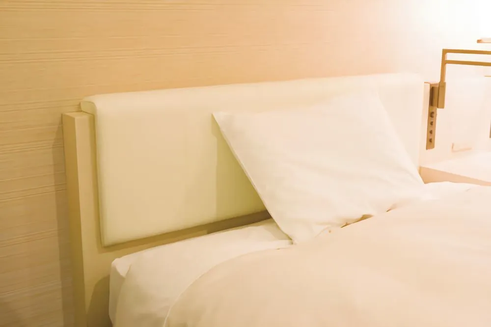 Mitsui Garden Hotel Yotsuya 도쿄 3*,